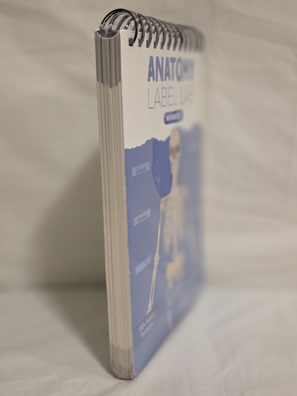 Human Anatomy Label Lab Workbook Medical Students 100+ Illustrations Laminated - Picture 2 of 5